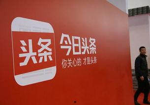 今日头条陈芳言,今日头条新晋网红，揭秘其爆红背后的故事